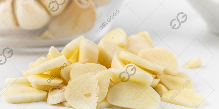 What Is The Price of Garlic Slicer Machine?