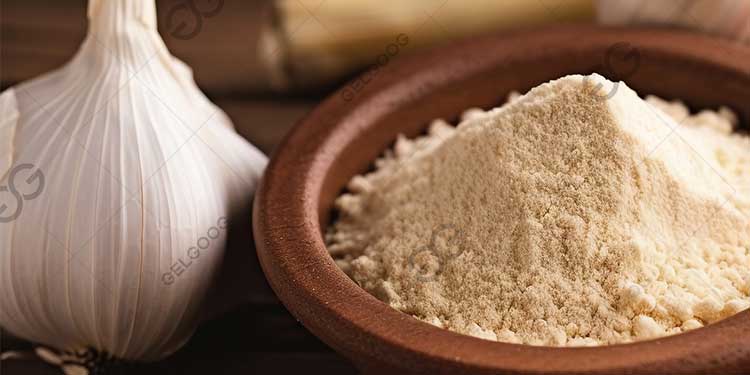 Is Garlic Powder Business Profitable?