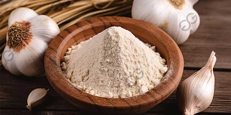 Cooperation with US Client for Garlic Powder Production Line