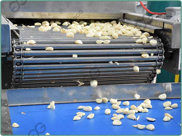 fully automatic garlic peeling machine