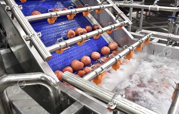 tomato washing machine