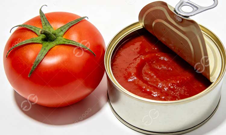 tomato paste