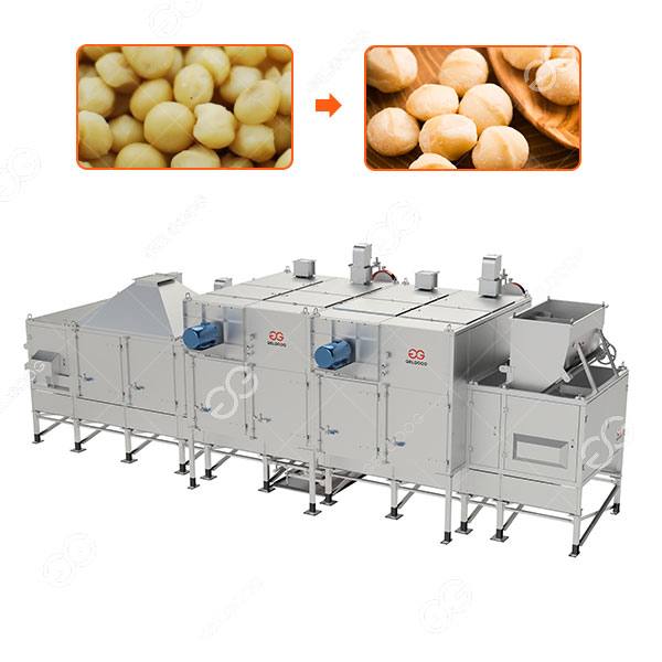 GELGOOG Macadamia Nut Roasting Equipment 1000 KG / H