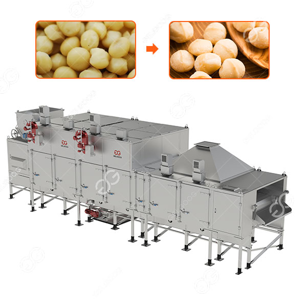 Continuous Macadamia Roasting Machine