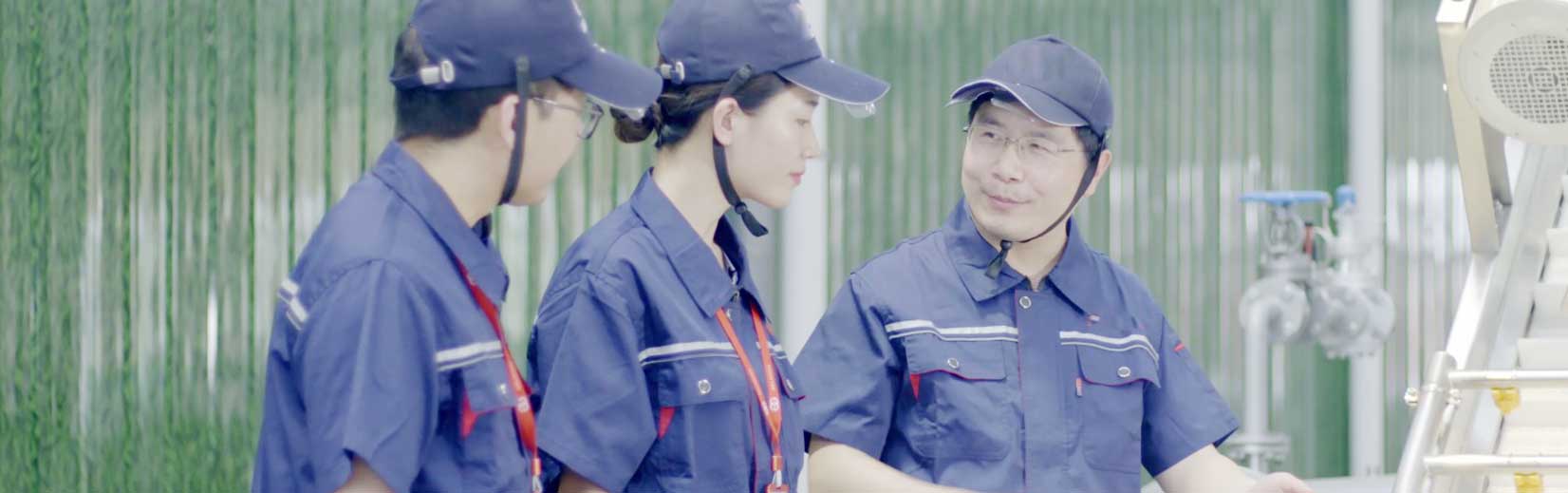 spring roll equipment manufacturer