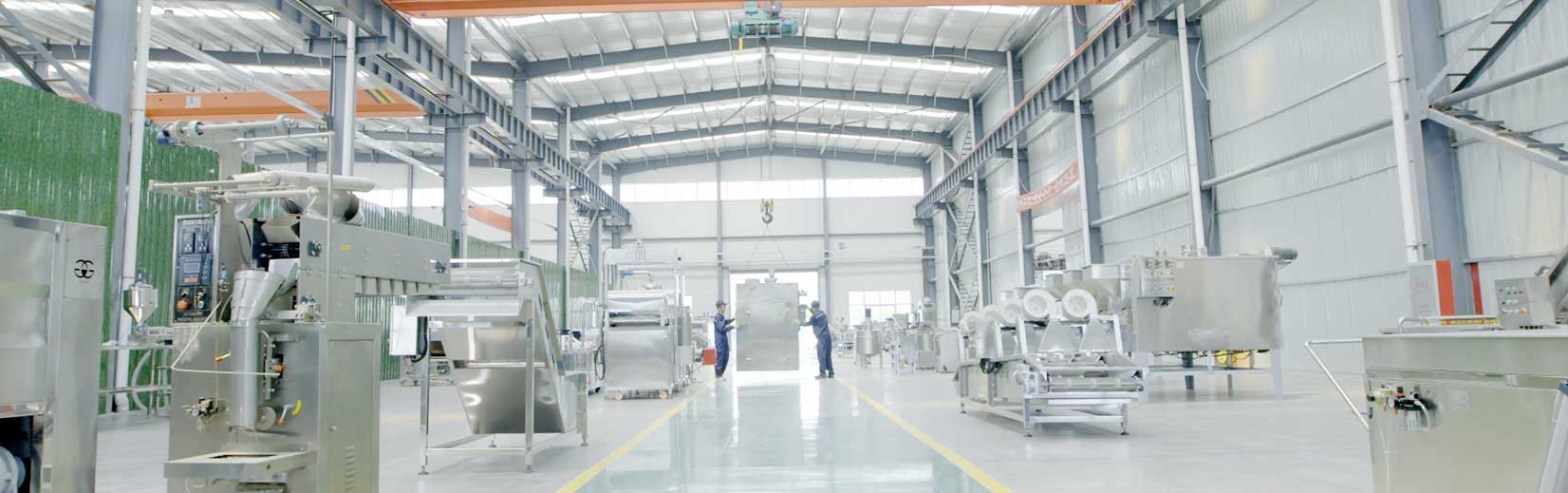 spring roll machine supplier