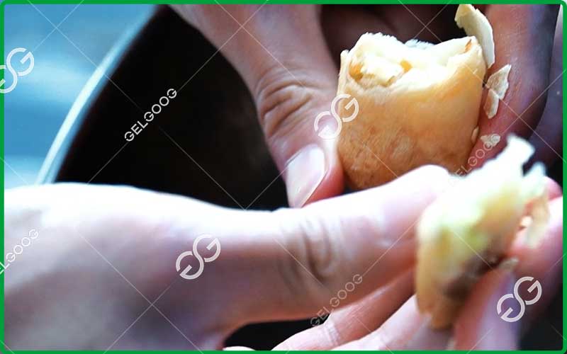 آلات لفائف الربيع