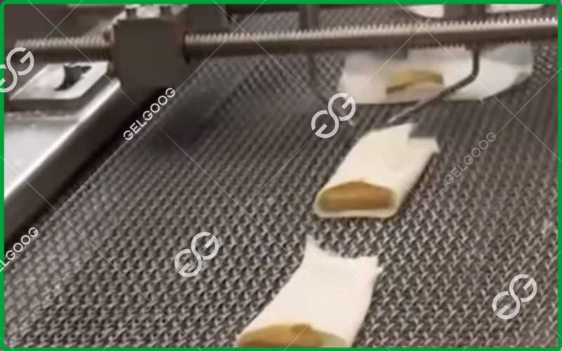 spring roll production line exported to macedonia