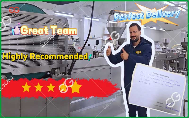 Spring Roll Production Line Exported to North Macedonia – Positive Customer Feedback