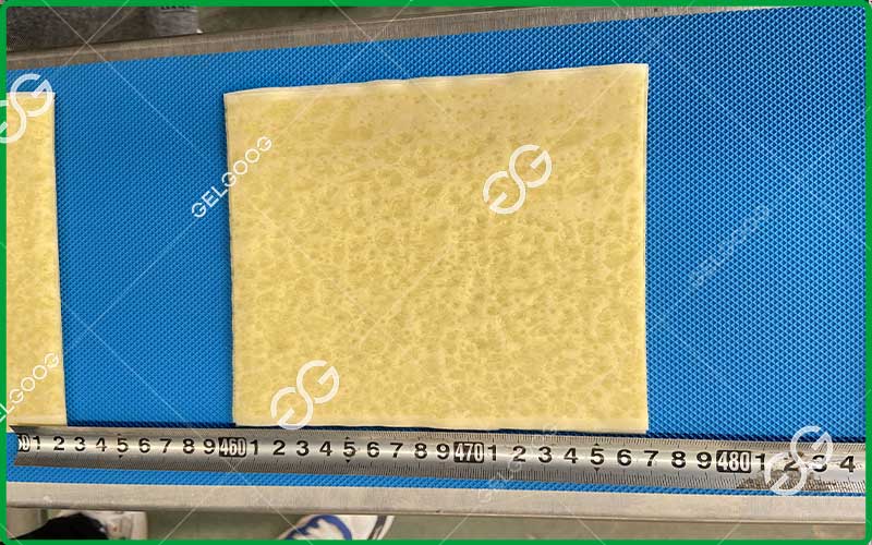 spring roll wrapper making machine