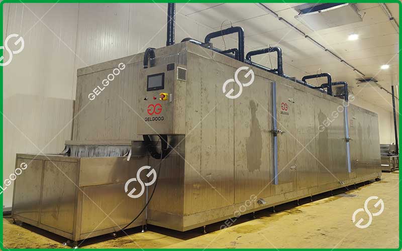 IQF spring roll machine
