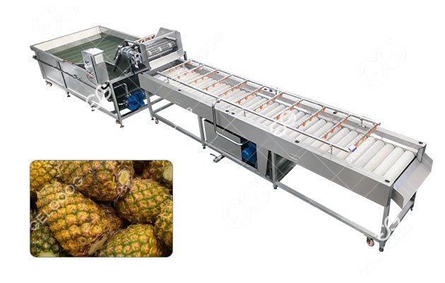 Pineapple Washing And Drying Line Customized Solutions