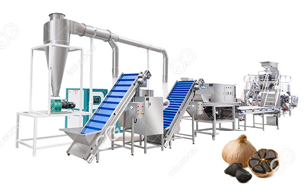 Black Garlic Making Machine Manufacturers
