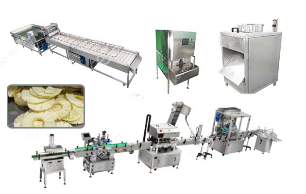 Canned Pineapple Slice Production Line Factory Customization