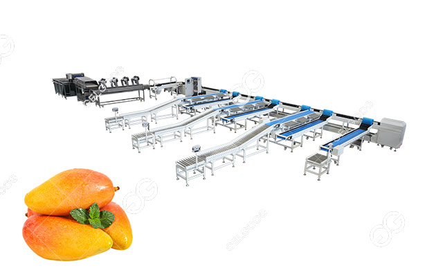 Mango Washing Waxing And Grading Line 1-20t/H