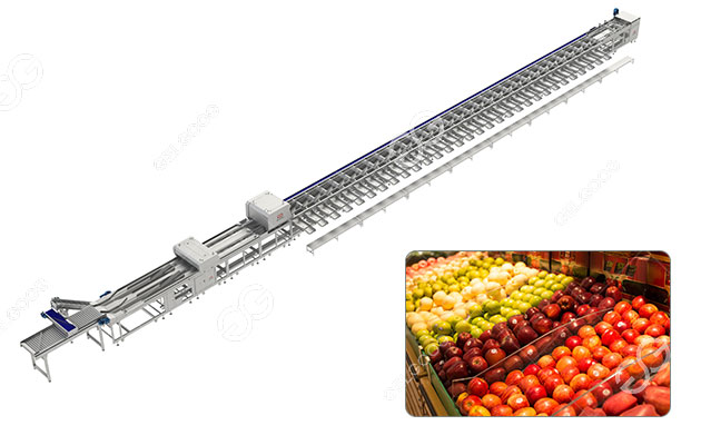 Máquinas clasificadoras y clasificadoras de manzanas.jpg