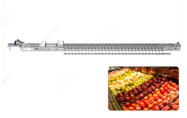 Línea de lavado, clasificación y envasado de manzanas