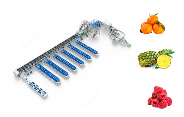 fruit-inspection-machine.jpg