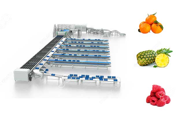 fresh-fruit-sorting-line.jpg
