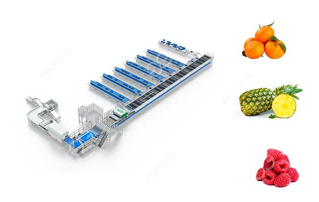 intelligent-fruit-grading-machine.jpg