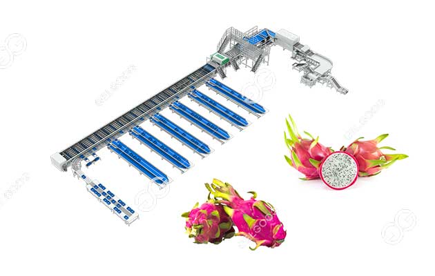 automatic-dragon-fruit-sorting-machine.jpg
