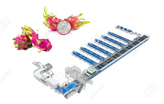 dragon-fruit-sorting-machine.jpg