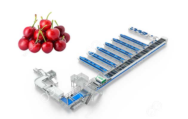 automatic-cherry-sorting-line.jpg