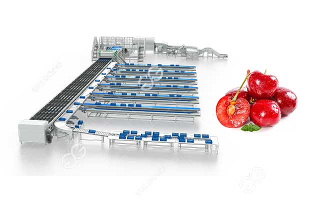 cherry-grading-machine.jpg