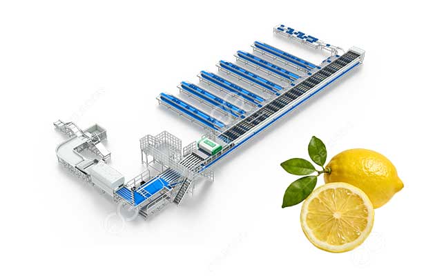 machine-trieuse-de-citrons.jpg